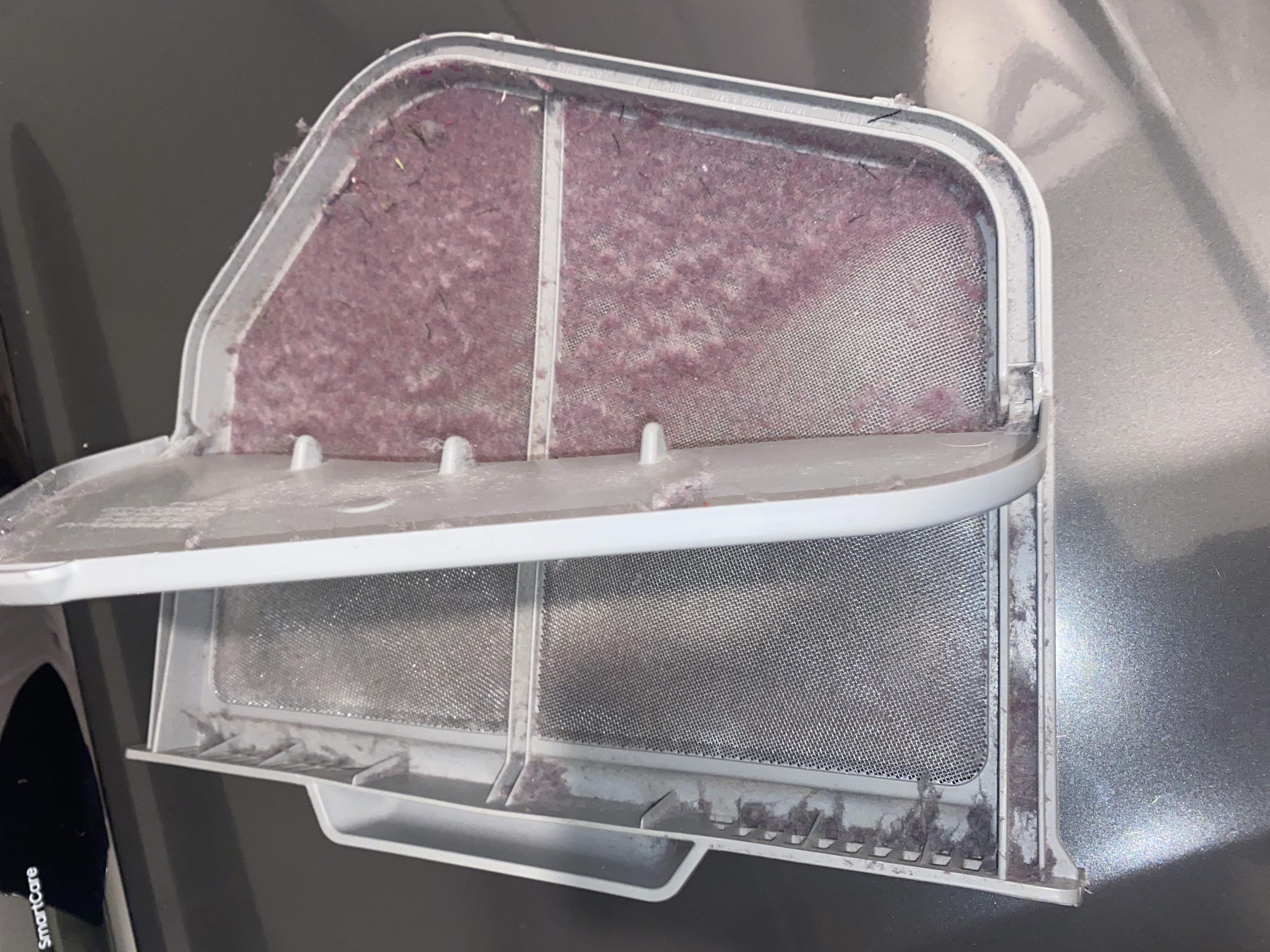 Dryer lint filter with visible lint buildup from a Bonita Springs condo